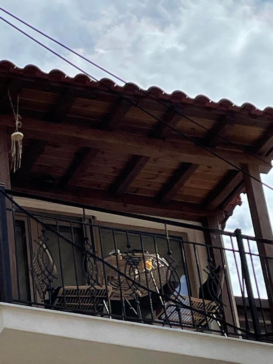 Eumorphia Studios & Apartments Skiathos Town Ngoại thất bức ảnh